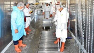 İzmir Büyükşehir Belediyesi'nin Kurban Bayramı hazırlıkları sürüyor