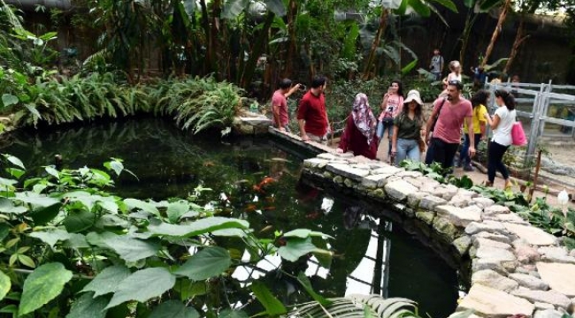 İzmir Doğal Yaşam Parkı'nı tatilde 70 bin 717 kişi ziyaret etti