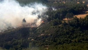 İzmir'de bir orman yangını daha