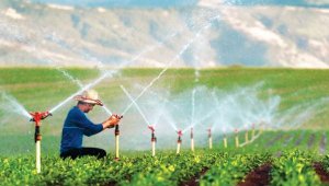 İzmir'de hedef su tarımla ekonomiye katkı sağlamak