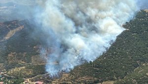 İzmir'de iki orman yangını