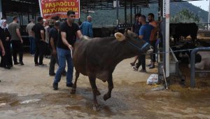 İzmir'de kurban kesim yerlerinde yoğunluk