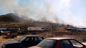 İzmir'in iki ilçesinde orman ve otluk yangını