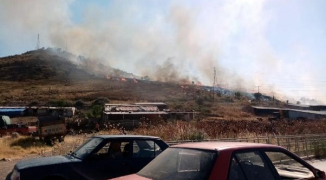 İzmir'in iki ilçesinde orman ve otluk yangını