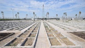 İzmir'in ilk hayvan mezarlığına 1400 gömü