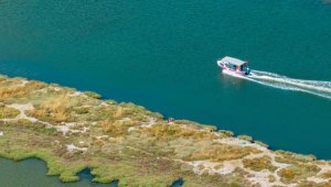 İzmirliler'den tekne ve otobüslerle 'Filamingo' Yolu turu