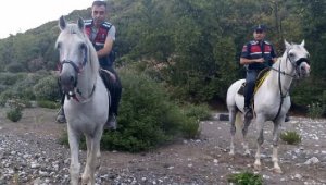 Jandarmadan atlı baskın! Hint keneviri ele geçti