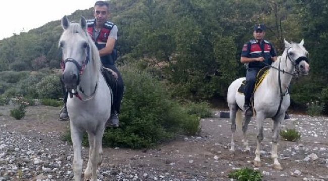 Jandarmadan atlı baskın! Hint keneviri ele geçti