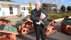 Karabağlar'da sahipsiz kedi ve köpekler için dört dörtlük hizmet