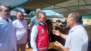 Kurban kesen acemilere 1300 TL para cezası