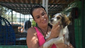 Kurtarılmış Çiftlik Hayvanları Barınağı'na yangın ve sel bölgesinden 58 can dostu