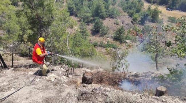 Manisa'da orman yangını; 2 hektardaki kızılçam yandı