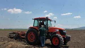 Manyas'ta ikinci ürün ekimleri başladı