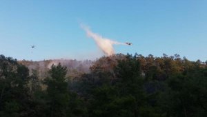 Marmaris'teki yangını özel ekip araştırıyor