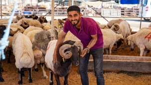 Menemen'de belediyeden kurban satış yerlerine sıkı denetim