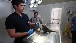 Narlıdere Belediyesi'nde sahipsiz hayvanlara şefkat eli uzatıldı