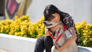 Önce tedavi ettiler sonra sahiplendiler