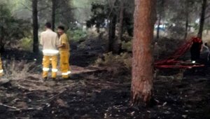 Orman yangını; sigara izmaritinden çıkmış