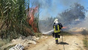 Otaca'da minibüste çıkan yangın, sazlığa sıçradı