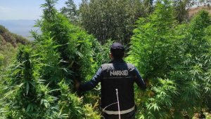 Polis, drone ile uyuşturucu peşinde