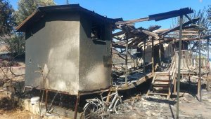 Seferihisar'daki yangında 3 ev, 4 araç ve hayvanlar yandı