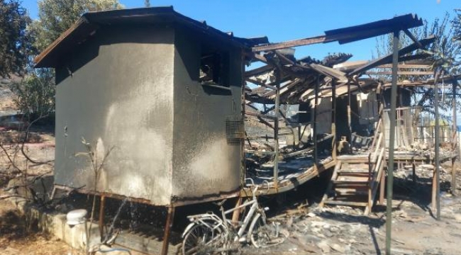 Seferihisar'daki yangında 3 ev, 4 araç ve hayvanlar yandı