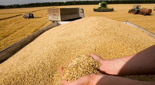 Türkiye'den dünyaya müjde: Ukrayna'dan tahıl taşıyan ilk gemi yarın çıkabilir