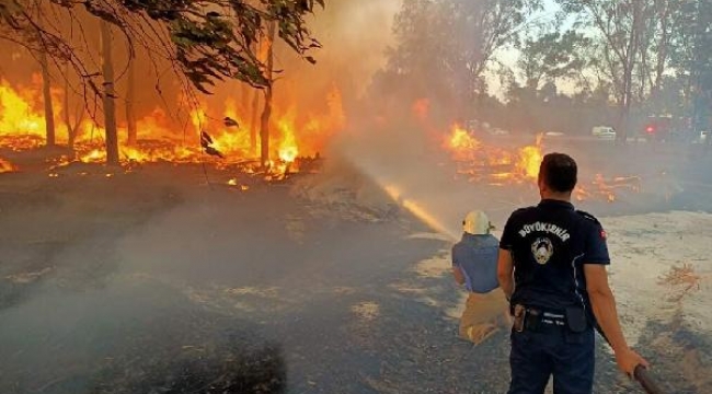 Yangın nöbeti! İzmir'in ormanlarını korumak için zabıta görevde