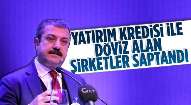 Yatırım kredisiyle döviz alan şirketler tespit edildi