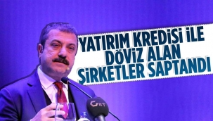 Yatırım kredisiyle döviz alan şirketler tespit edildi