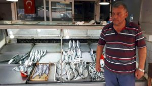 150 lira oldu! Gelibolu sardalyası fiyatıyla levreği tahtından indirdi
