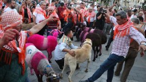 8 asırdır süren gelenek festival