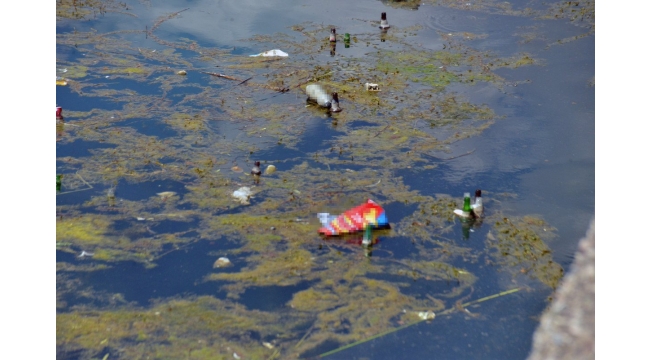 Adana'da, Seyhan Nehri'ndeki kirlilik tepki çekti