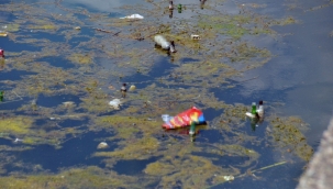 Adana'da, Seyhan Nehri'ndeki kirlilik tepki çekti