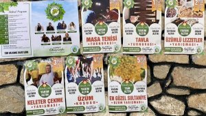 Alaşehir'de 4.Uluslararası Kültür, Sanat ve Üzüm Festivali başlıyor