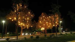 Balıkesir Belediyesi, Değirmen Boğazı'nı ışıl ışıl hale getiriyor
