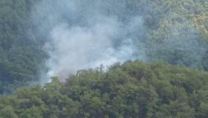 Balıkesir'de, yıldırım isabet eden ormanda 1 dönüm alan zarar gördü