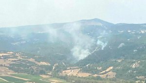 Balıkesir'deki çifte orman yangını söndürüldü