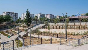 Buca Yedigöller yenilendi! Bölgeye 54 bin çalı grubu dikildi