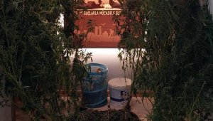 Çanakkale'deki uyuşturucu baskını: 3 tutuklama