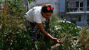Çiğli'de dar gelirliler için 'Kent Bostanları'