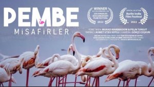 Çiğli'nin Pembe Misafirleri Los Angeles'ten ödülle dönüyor