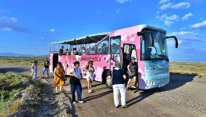 Gediz Deltası'nda 'Flamingo' turu