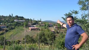 Heyelan! Derinden gelen sesler köy boşalttırıyor