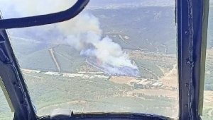 İzmir Buca'da orman yangını