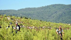 İzmir'de 5 yıl önce yanan alan tekrar yeşillendi