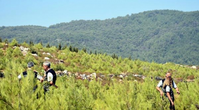 İzmir'de 5 yıl önce yanan alan tekrar yeşillendi