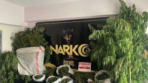 İzmir'de 54 kök Hint keneviri ve 10 kilogram esrar ele geçirildi