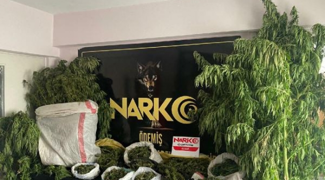 İzmir'de 54 kök Hint keneviri ve 10 kilogram esrar ele geçirildi