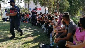 İzmir'de 855 kaçak göçmen yakalandı, 2 organizatör tutuklandı
